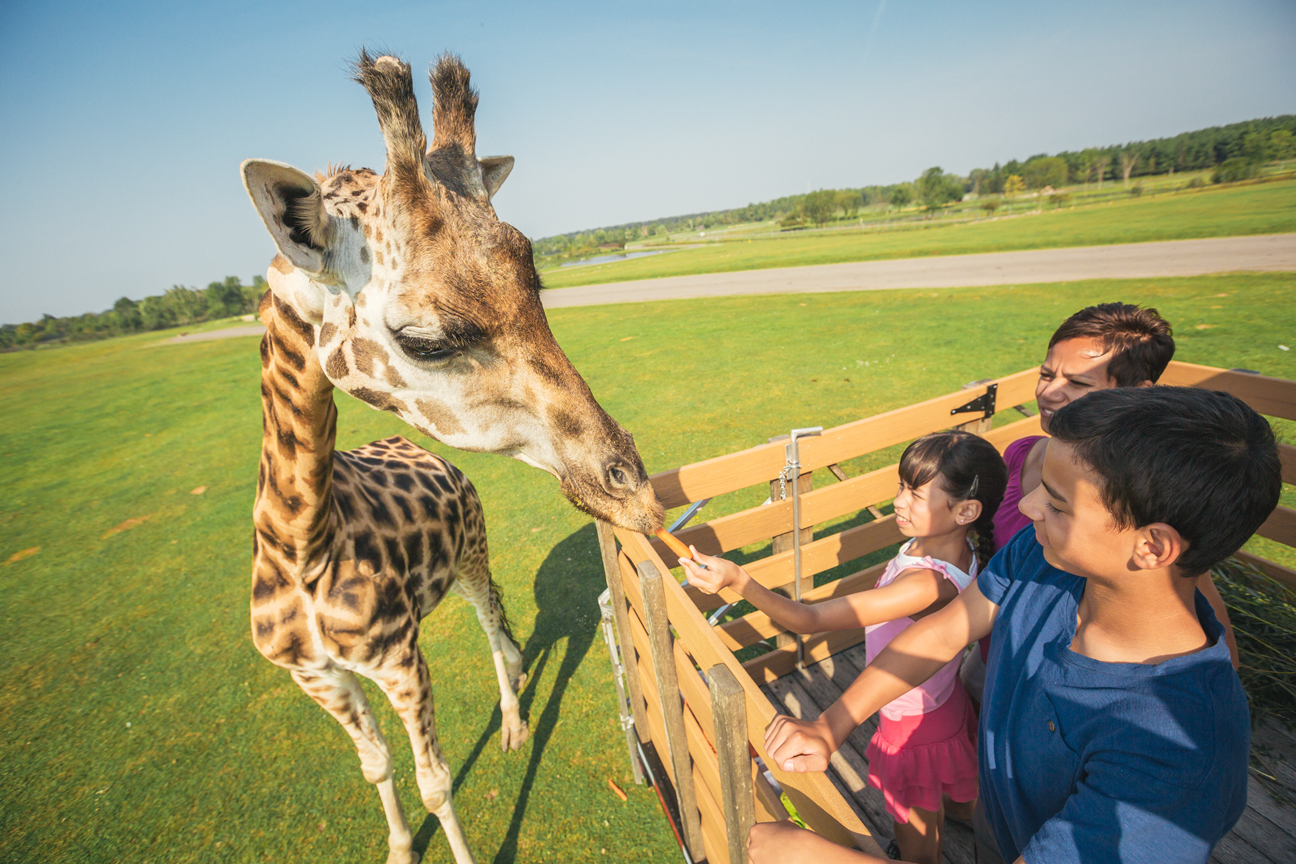 Kids Friendly Things to Do in Hamilton ontario