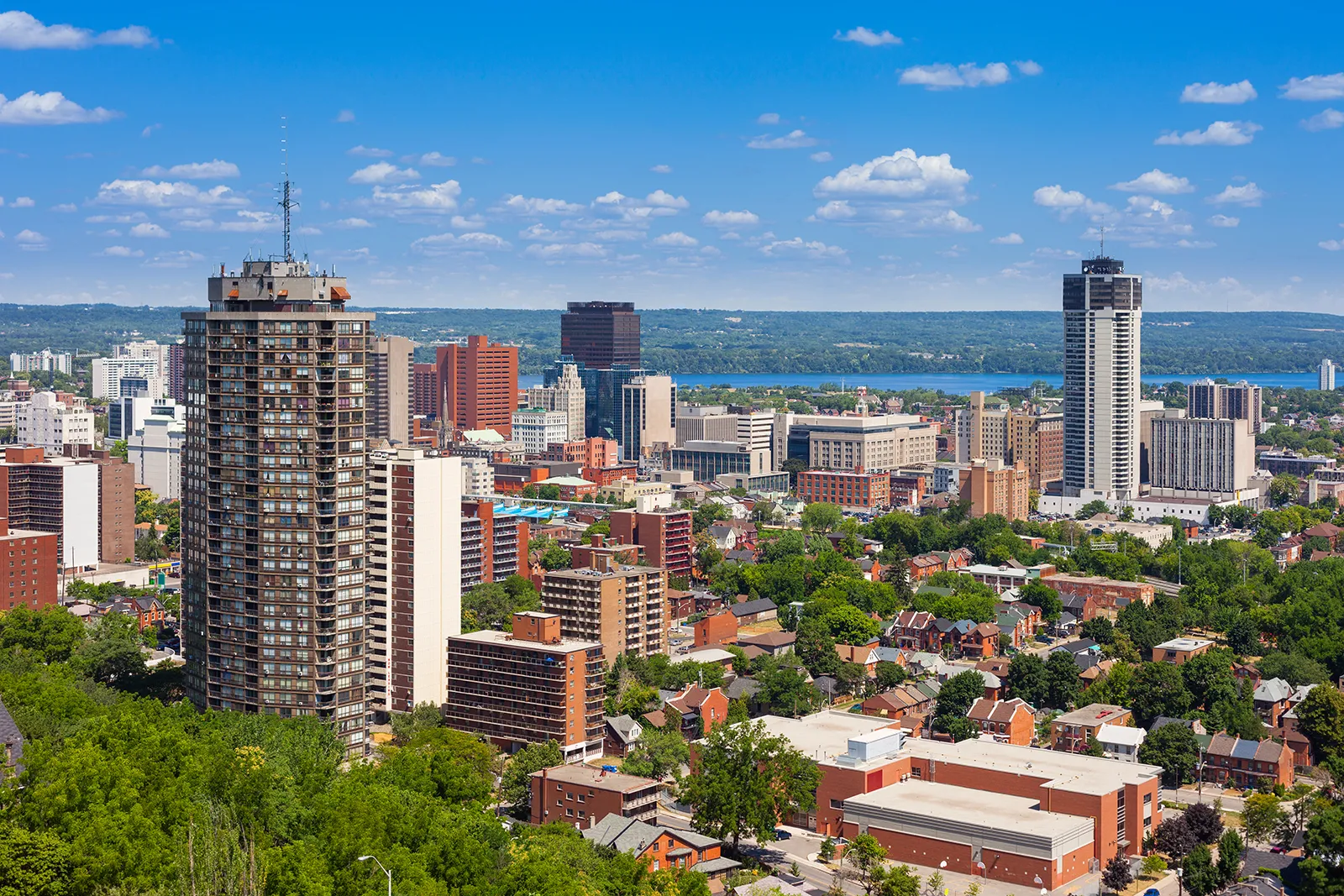 things to do in hamilton