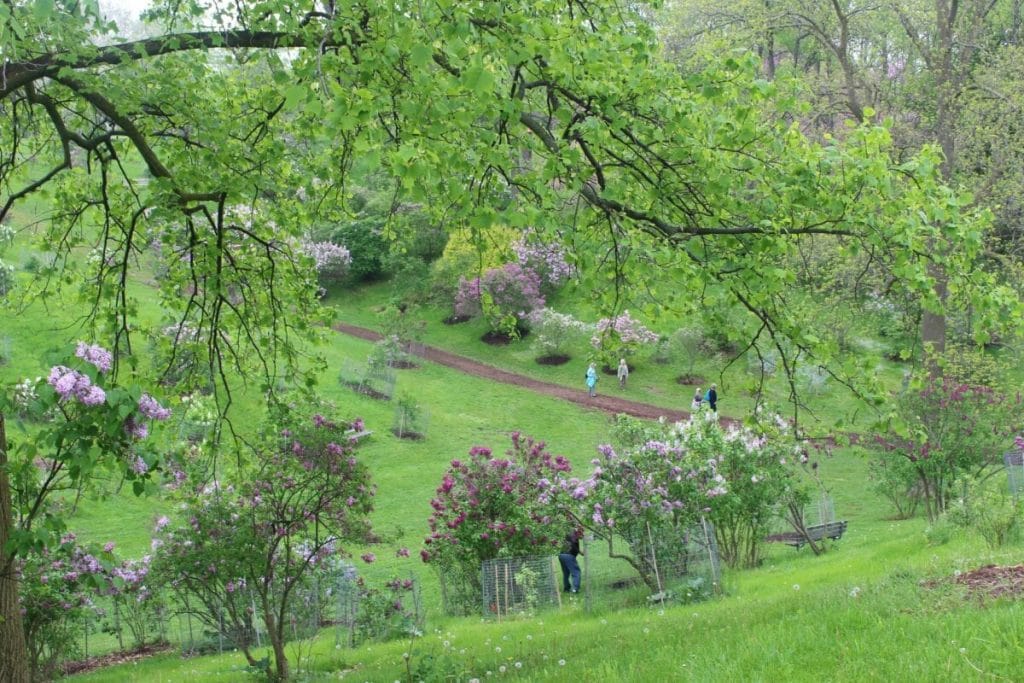 things to do in hamilton